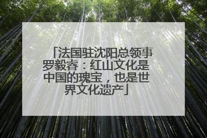 法国驻沈阳总领事罗毅睿：红山文化是中国的瑰宝，也是世界文化遗产