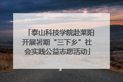 泰山科技学院赴莱阳开展暑期“三下乡”社会实践公益志愿活动