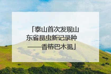 泰山首次发现山东省昆虫新记录种——香椿巴木虱