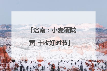 洛南：小麦覆陇黄 丰收好时节