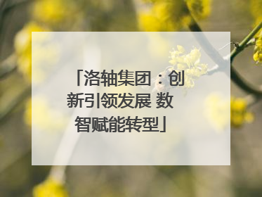 洛轴集团：创新引领发展 数智赋能转型