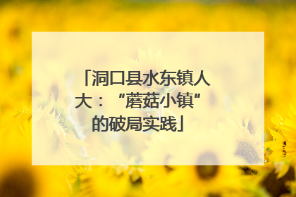 洞口县水东镇人大：“蘑菇小镇”的破局实践