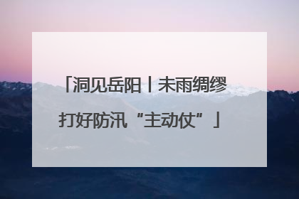 洞见岳阳丨未雨绸缪 打好防汛“主动仗”