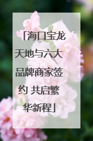海口宝龙天地与六大品牌商家签约 共启繁华新程