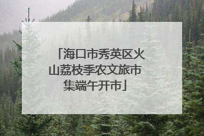 海口市秀英区火山荔枝季农文旅市集端午开市