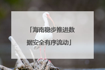 海南稳步推进数据安全有序流动
