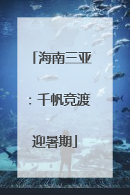 海南三亚：千帆竞渡迎暑期
