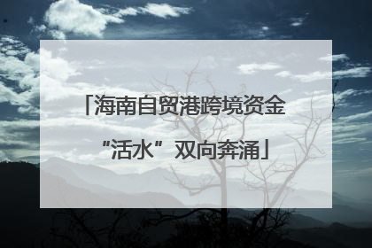海南自贸港跨境资金“活水”双向奔涌