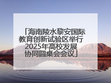 海南陵水黎安国际教育创新试验区举行2025年高校发展协同圆桌会会议