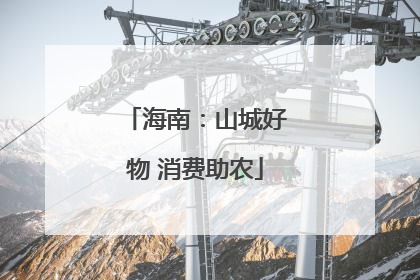 海南：山城好物 消费助农