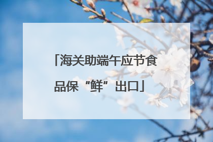海关助端午应节食品保“鲜”出口