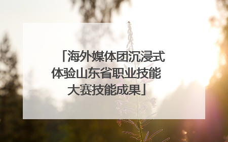 海外媒体团沉浸式体验山东省职业技能大赛技能成果