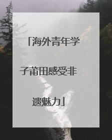 海外青年学子莆田感受非遗魅力