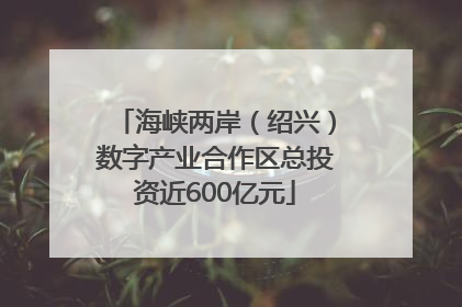 海峡两岸（绍兴）数字产业合作区总投资近600亿元
