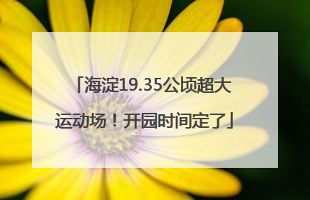 海淀19.35公顷超大运动场！开园时间定了