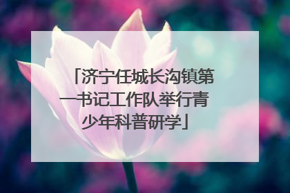 济宁任城长沟镇第一书记工作队举行青少年科普研学