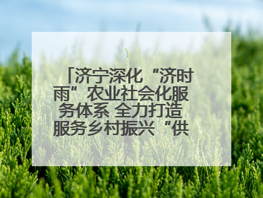 济宁深化“济时雨”农业社会化服务体系 全力打造服务乡村振兴“供销样板”