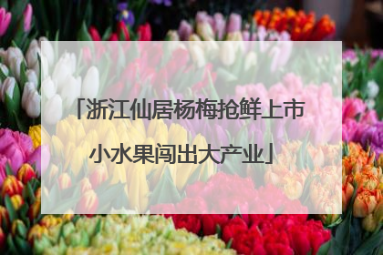 浙江仙居杨梅抢鲜上市 小水果闯出大产业
