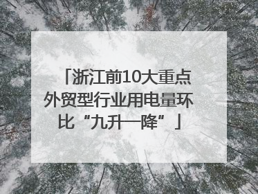 浙江前10大重点外贸型行业用电量环比“九升一降”