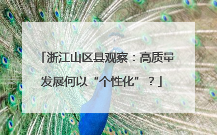 浙江山区县观察：高质量发展何以“个性化”？