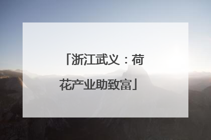 浙江武义：荷花产业助致富