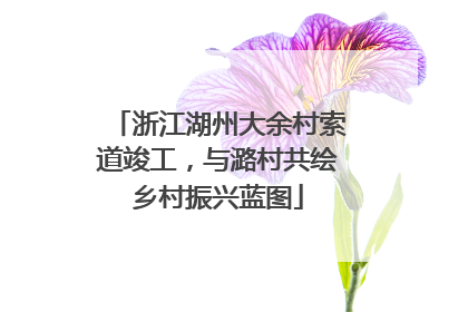 浙江湖州大余村索道竣工，与潞村共绘乡村振兴蓝图