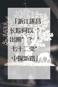 浙江遂昌长粽何以“出圈”？“七十二变”中探新路