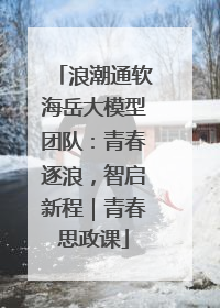 浪潮通软海岳大模型团队：青春逐浪，智启新程｜青春思政课