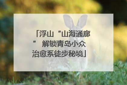 浮山“山海通廊” 解锁青岛小众治愈系徒步秘境