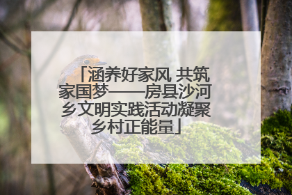 涵养好家风 共筑家国梦——房县沙河乡文明实践活动凝聚乡村正能量
