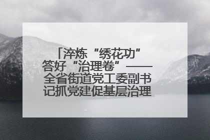淬炼“绣花功” 答好“治理卷”——全省街道党工委副书记抓党建促基层治理培训示范班侧记