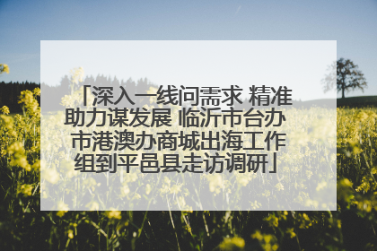 深入一线问需求 精准助力谋发展 临沂市台办 市港澳办商城出海工作组到平邑县走访调研