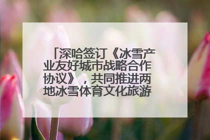 深哈签订《冰雪产业友好城市战略合作协议》，共同推进两地冰雪体育文化旅游高质量发展
