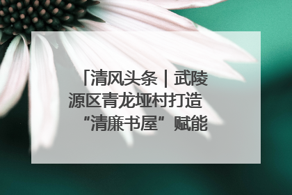 清风头条｜武陵源区青龙垭村打造“清廉书屋”赋能乡村振兴新风尚
