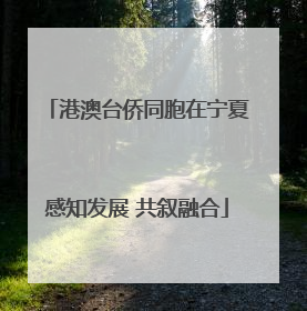 港澳台侨同胞在宁夏感知发展 共叙融合