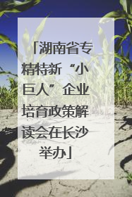 湖南省专精特新“小巨人”企业培育政策解读会在长沙举办