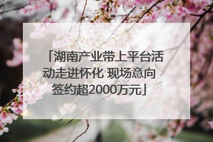 湖南产业带上平台活动走进怀化 现场意向签约超2000万元