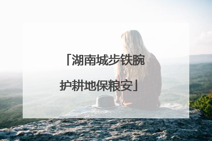 湖南城步铁腕护耕地保粮安