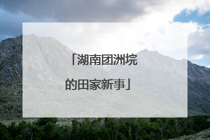 湖南团洲垸的田家新事