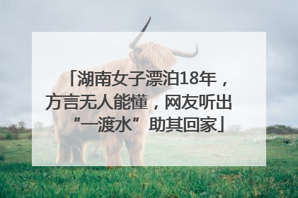湖南女子漂泊18年，方言无人能懂，网友听出“一渡水”助其回家