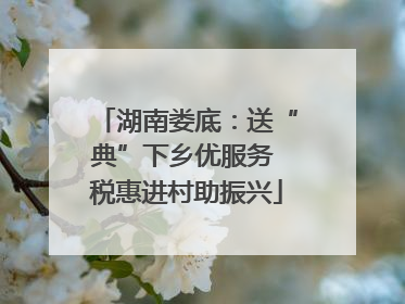 湖南娄底：送“典”下乡优服务 税惠进村助振兴