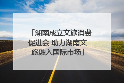 湖南成立文旅消费促进会 助力湖南文旅融入国际市场
