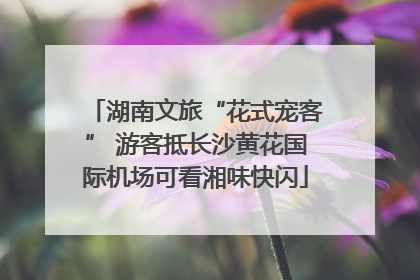 湖南文旅“花式宠客” 游客抵长沙黄花国际机场可看湘味快闪