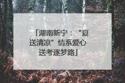 湖南新宁：“夏送清凉”情系爱心送考逐梦路