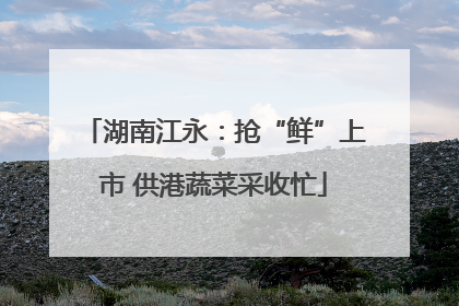 湖南江永：抢“鲜”上市 供港蔬菜采收忙