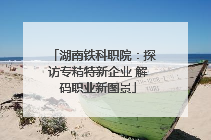 湖南铁科职院：探访专精特新企业 解码职业新图景