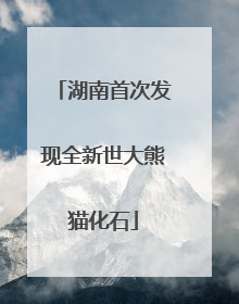 湖南首次发现全新世大熊猫化石