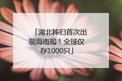 湖北秭归首次出现海南鳽！全球仅存1000只