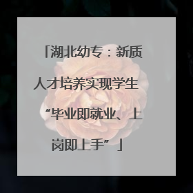 湖北幼专：新质人才培养实现学生“毕业即就业、上岗即上手”