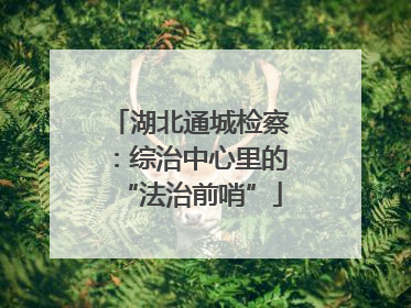 湖北通城检察：综治中心里的“法治前哨”